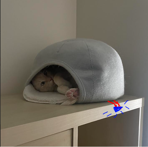 put a description here or you will lose grades